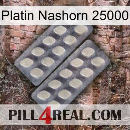 Platinum Rhino 25000 07